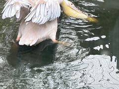 -沈阳鸟岛