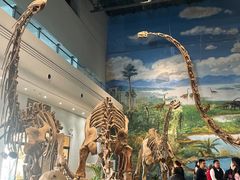 -自贡恐龙博物馆