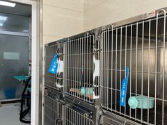 -北京观赏动物医院·24小时大型综合·猫专科·异宠专科