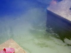 -咸宁万豪温泉谷度假区