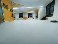 -勇气斑马·巴西柔术&跆拳道(浦东三林店)