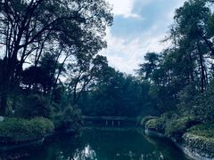-南山植物园