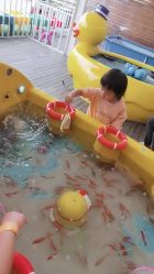 -小蜜蜂农场(凯德七宝购物广场店)