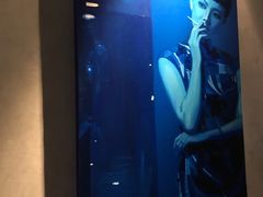-上海外滩英迪格酒店