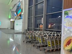 -乌鲁木齐天山国际机场-T3航站楼