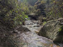 -抱龙峪