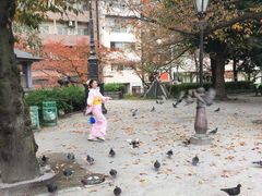 -东京浅草和服体验江户和装工房雅(浅草本店)