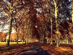 iphone_upload_pic-河南省黄河迎宾馆