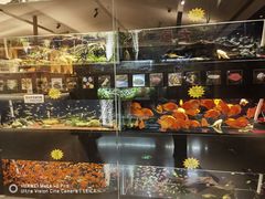 -姑苏二十四集(iD PARK 歌林公园店)