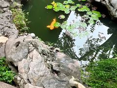 -苏州园林博物馆