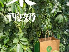 -茉酸奶(春熙路店)