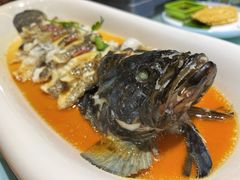 -一麦·龙岛(上海青浦店)