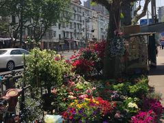 -本溪路花鸟市场(江浦路1709弄小区店)