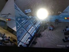 -大果情商(亲藤店)