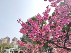 -大宁公园