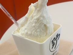 -野人先生现做冰淇淋(北京王府井东方新天地店)
