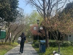 -月湖风景区