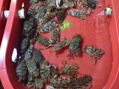 -芦潮港集贸市场