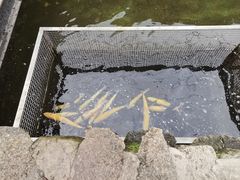 -京北渔家傲