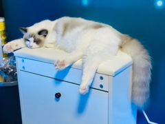 -零纪元VR体验馆·桌游(黄浦店)