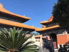 -历代帝王庙博物馆