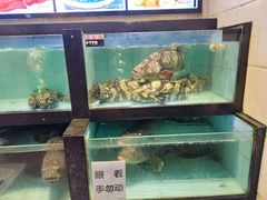 水产区-越百海海鲜蒸锅(乐山店)
