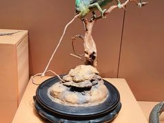 -天津自然博物馆