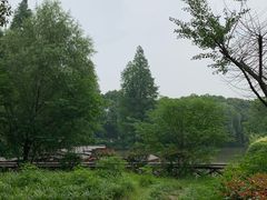 -同里国家湿地公园