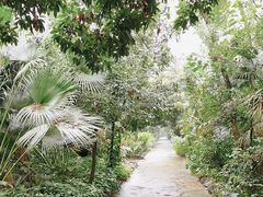 -海南热带野生动植物园