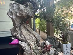 -若蘭慈·无国界素食料理(欢乐海岸店)