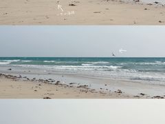 -贝壳沙滩