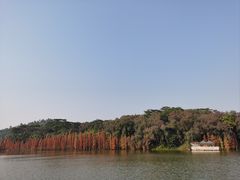 -三水森林公园