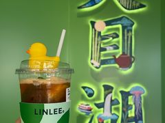 -天目湖山水园