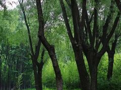 -济南野生动物世界