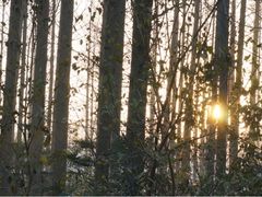 iphone_upload_pic-上海怡沁园度假酒店