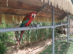 -西霞口神雕山野生动物世界