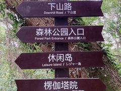 -苏州上方山国家森林公园