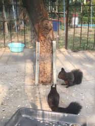 -萌宠亲子动物乐园(槐房万达店)