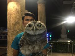 -清迈夜间动物园