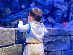 -沈阳海洋探索中心