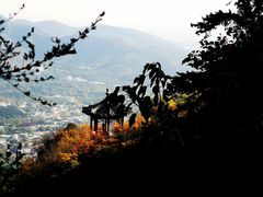 -香山公园