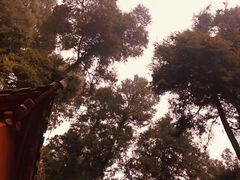-都江堰普照寺