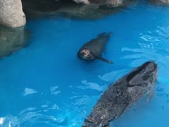 -华夏文旅西安度假区