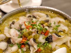 -松花湖水饺(新濠天地店)