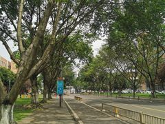 -四川大学(望江校区)