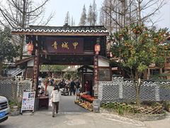 -青城甲(青城山店)