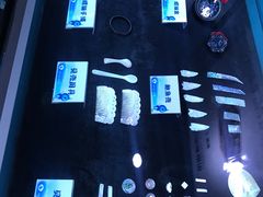-贝壳梦幻世界