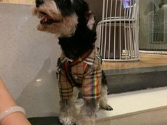 -春树下·树屋花房西餐厅(罍街AS1980店)