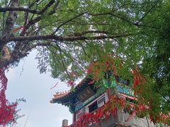 -戏马台景区