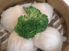 -老洋坊饭店(厚街东宝路店)